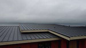 Best Roof Inspection  in Fernley, NV